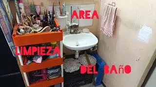 Limpieza/ reacomodo 🚽🧻🧹