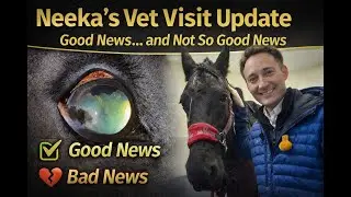 Neeka&rsquo;s Vet Visit Update | Good News&hellip; and Not So Good News