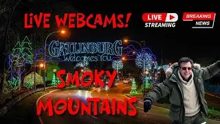 01/27/26 LIVE Webcams in the Smokies! - Explore Tennessee