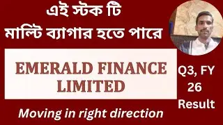 এই স্টক টি মাল্টি ব্যাগার হতে পারে:- Emerald finance 
