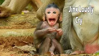 Tearing Drop Pity Jinx See This Face Of Jinx Cries Out | Jinx Suddenly Shout Out Non Stop