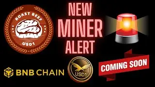 NEW MINER ALERT 🤖 STAKE USD1 for 1825% APY | Launching Soon | Audited ROI Dapp 💰 Are Miners BACK ?