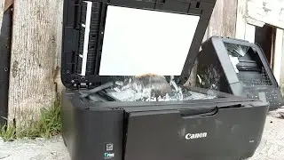 Smash Canon Pixma MX396 Printer