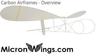 Carbon Flyer Overview