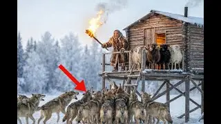 90-Year-Old Woman vs 1,000 Wolves at –71°C | Yakutia Survival