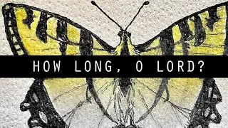 Jenny & Tyler - How long, O Lord (Official Audio)