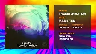 Plunk.ton - Losing Touch [DSRDIGI018]