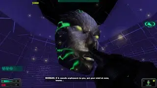 System Shock 2: 25th Anniversary Remaster &mdash; скоростное прохождение (любой процент) за 25:04.117 [...