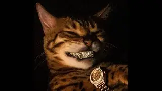 [FREE] Nemzzz x Dark Sample Hoodtrap Type Beat 