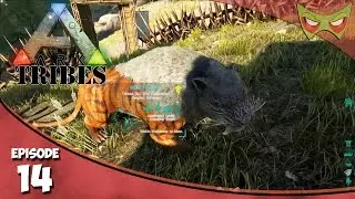 Ark: Tribes - Ep 14 - Sabertooth Taming - Let's Play On Pooping Evolved