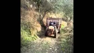 Pasquali 2