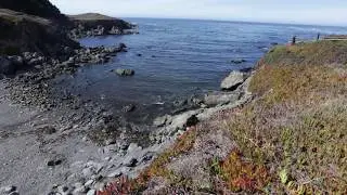 Dollar Stock Video | Ocean and Beach with Slow Tilt/Pan | 29.97fps HD 1080P