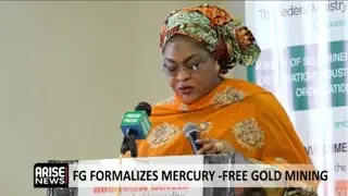 NIGERIA HALTS USE OF MERCURY IN MINING GOLD 