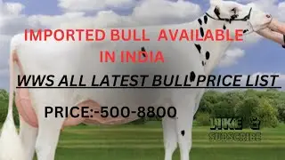 WWS LATEST IMPORTED BULL PRICE LIST #farmerkunal #wws #abs #breeding #dairyfarm