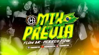 MIX PREVIA 🔥 FLOW BR & PERREO FUNK 🇧🇷 DJ GABII HOYOS