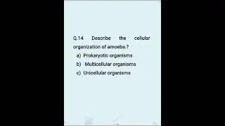 MCQs foe jSTtest preparation #stbb #biology #generalscience #generalsciencemcqs #english #science