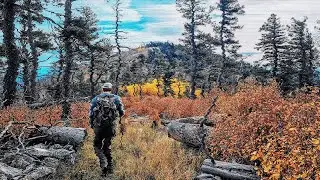 Golden Trails: Fall Camping and Hiking in the Capitan Mountains w/ @OneMansOdyssey