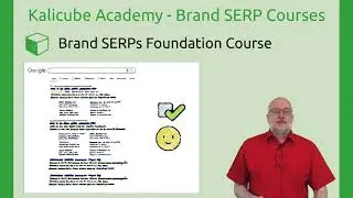Optimising Google Ads - Brand SERP Course