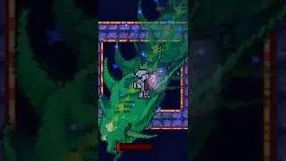 How to Shield-Cheese Duke Fishron (Master Mode) | Terraria Boss Guide