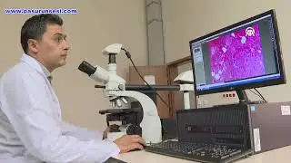 Gıda analizlerinde 1000'de 1’lik kusurlar bile tespit ediliyor