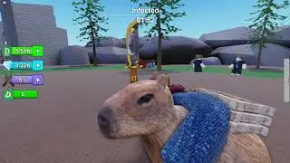 DANK 2 CAPYBARA KNIFE CODE