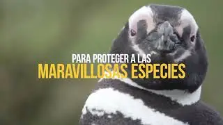 Unimos nuestras voces por el #MarArgentino