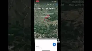 Durfort 81