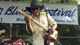 Back to the Country by Mac Arnold band @ Saint georges Blues Festival 2013