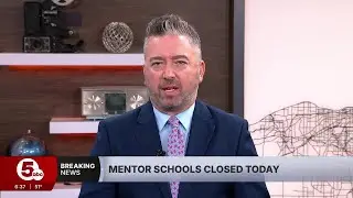 Mentor schools closed