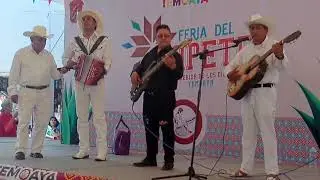 #Temoaya | Música Tradicional Otomi