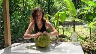 Cutting open fresh jackfruit ! 