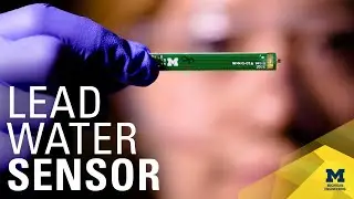 A cheap, embeddable sensor for water lead detection
