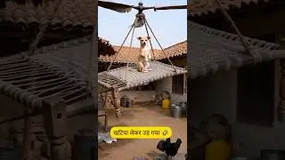 खटिया लेकर उड़ गया 😂🤣|#shorts #comedyvideos #thetharpuns #funnycomedy #youtubeshorts #desicomedy