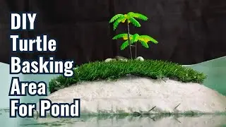 DIY Turtle Basking Area For Pond