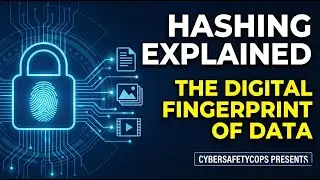 What is Hashing? The Digital Fingerprint Explained ,Understanding Hash Values: MD5, SHA1 & SHA256