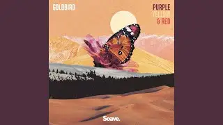 Purple, Yellow & Red