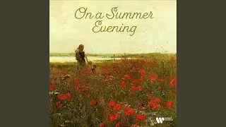 Im Sommerwind (Live)
