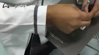 Angelus MTA Repair HP | High-Performance Endodontic Repair Material