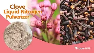Clove Powder - Nitrogen Cooling Pulverizer- Cryogenic Liquid Nitrogen Grinding Machine