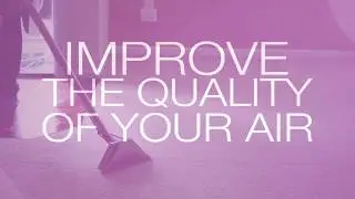 Steam Master Cleaning and Restoration Improve Indoor Air Quality