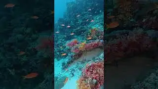 Exotic colors that will blow your mind -  the remote Vaavu Atolls