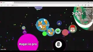 agar.io solo play #1