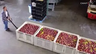 Community Food Bank of San Benito County - 12 Days of Giving (2017)