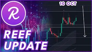 REEF PUMPING AGAIN!🔥 | REEF PRICE PREDICTION & NEWS 2024!