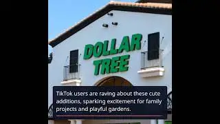 Discover Dollar Tree's Adorable Fairy Garden Figurines!