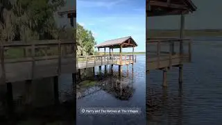 Peaceful, Easy, Feeling! Harry and the Natives~ The Villages, Florida 🤗