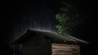 Release Stress 💧 | Relaxing Rain | Dark Rainy Forest | Mental Reset
