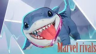 The Cutest Shark Ever Jeff