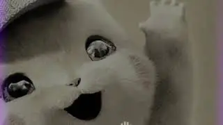 Pikachu new whatsapp status 2019