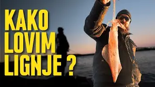 Kako lovim lignje s obale – 2 ulova zaredom! 🦑